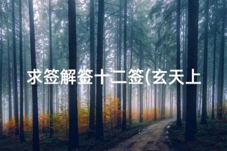 玄天上帝灵签管多长时间
