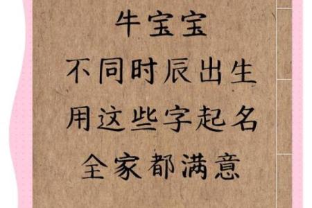 属牛酉时出生的男孩的取名技巧姓名