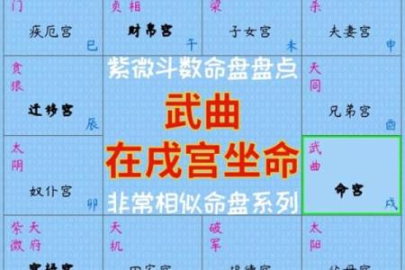 紫微斗数之事业宫与诸星，巨门星在事业宫是什么意思？