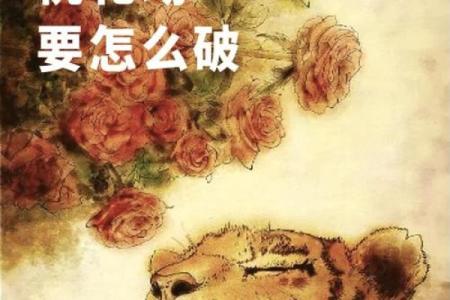 塔罗测试：年初，你会遭遇桃花劫吗？