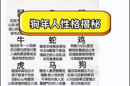 九月份出生的属狗男孩应该如何取名字姓名