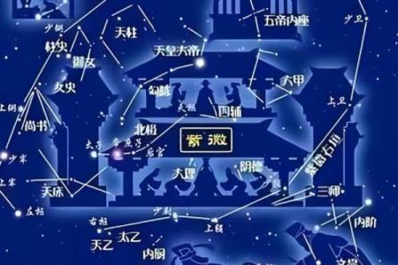 紫薇斗数丈夫富贵