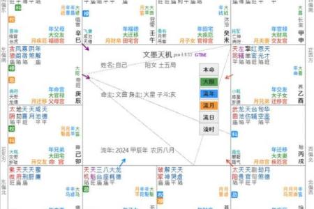 紫薇斗数空白