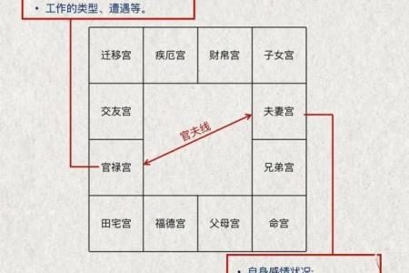 紫薇斗数书入门