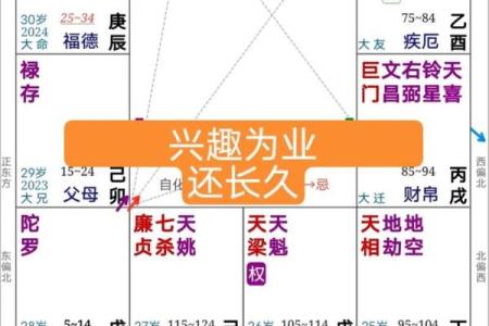 紫微斗数紫薇性格