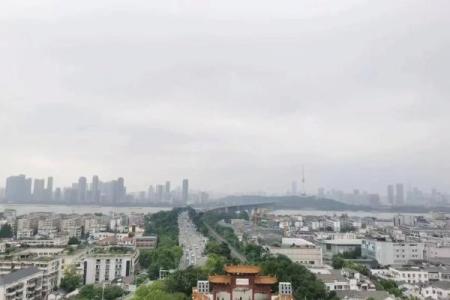 八字将星不同位置意义