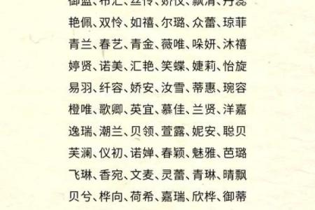 服装店名字大全-名字大全姓名