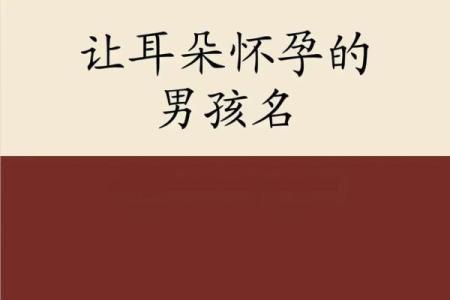 早上6点出生的属兔男孩如何取名姓名