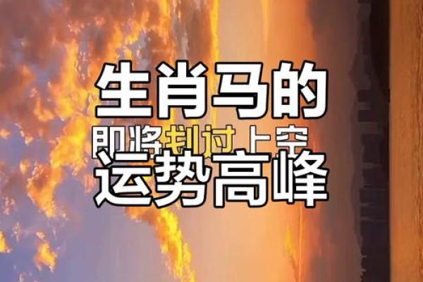 什么生肖带有紫薇星