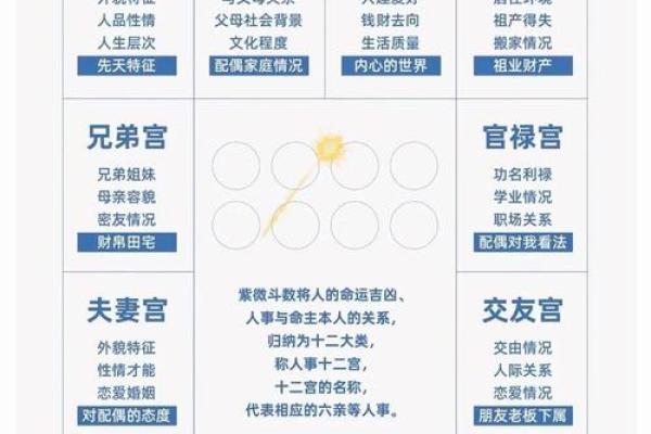 紫微斗数之夫妻宫与诸星,天同星在夫妻宫是什么意思? 紫微斗数之夫妻宫与诸星,天同星在夫妻宫是什么意思?