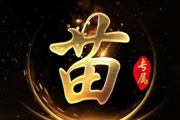 苗姓男孩名字大全-苗姓男孩起名字大全-苗姓名字大全姓名