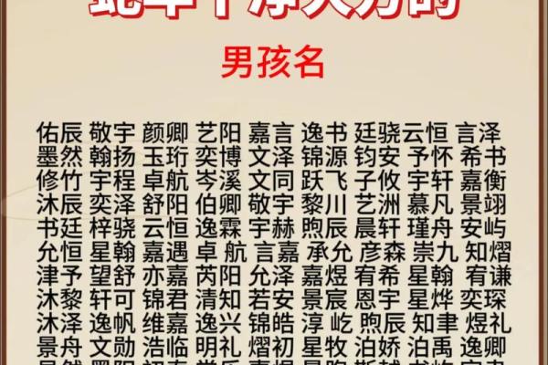 2019年3月21号亥时出生的男孩要怎么起名字姓名