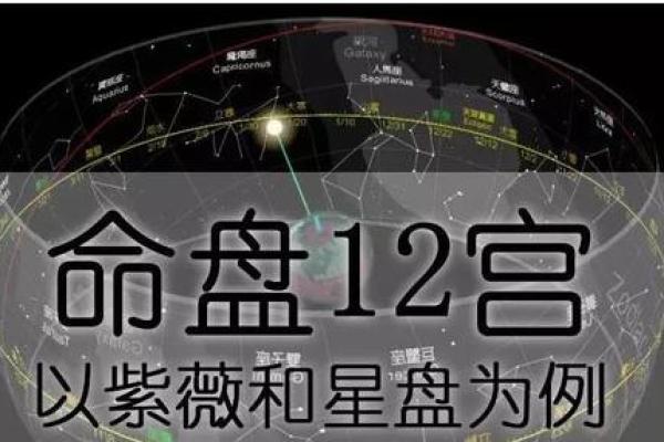 生辰八字紫薇星盘
