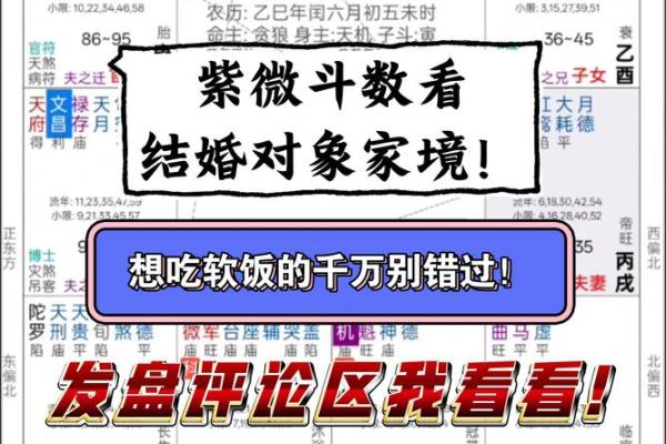 紫微斗数看会拥有美好婚姻的人