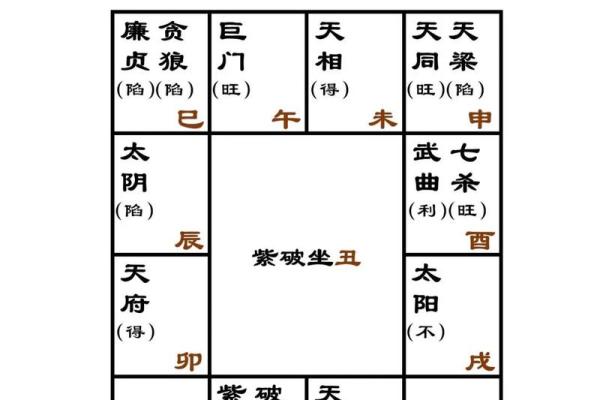 中国紫薇斗数排盘