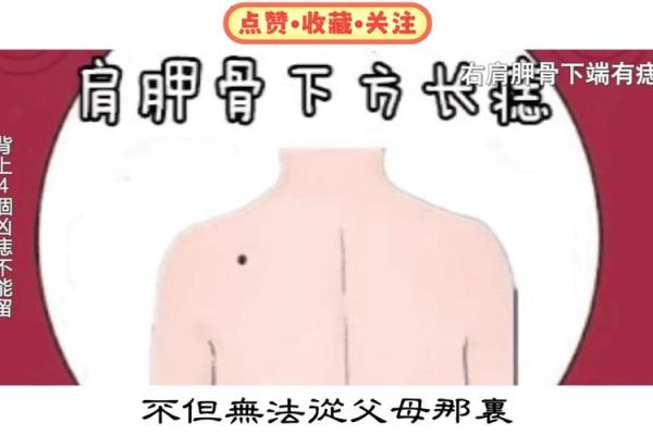 背上的痣图解算命