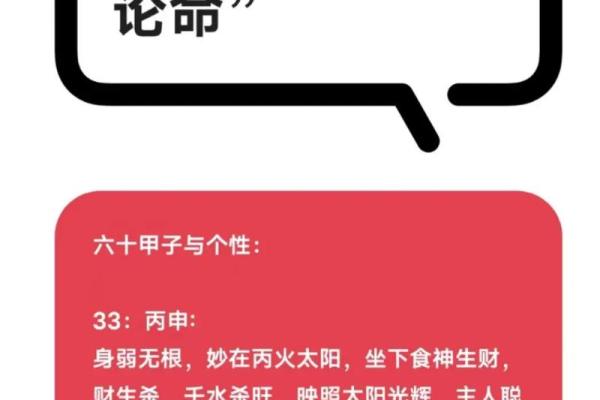 丙子日八字
