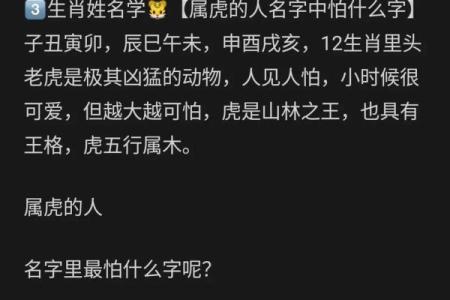 8月份出生的属虎男孩如何取名字好姓名