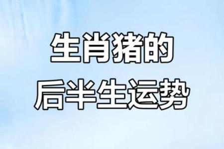 什么生肖带有紫薇星