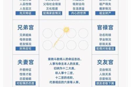 紫微斗数之夫妻宫与诸星,天同星在夫妻宫是什么意思？