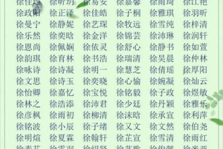2019年6月22号寅时出生的男孩起名方法姓名