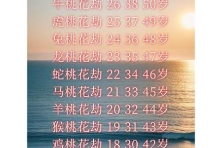 塔罗测试：你命中桃花运多还是桃花劫多？