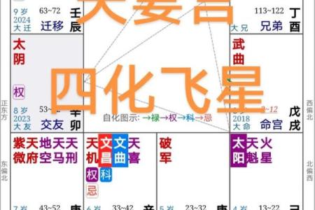 紫微斗数田宅四化 田宅四化入各宫位？