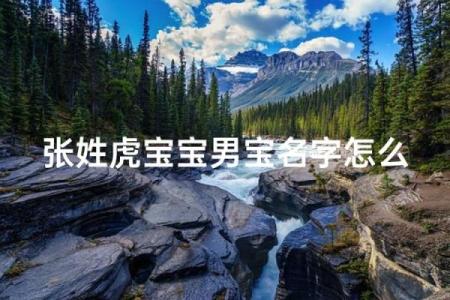凌晨2点出生的属虎男孩如何起名，宜用什么字姓名