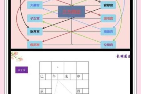 紫薇斗数工作