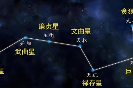 明极紫薇斗数