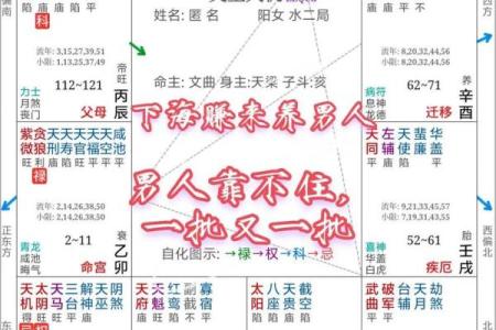 360紫薇斗数事业