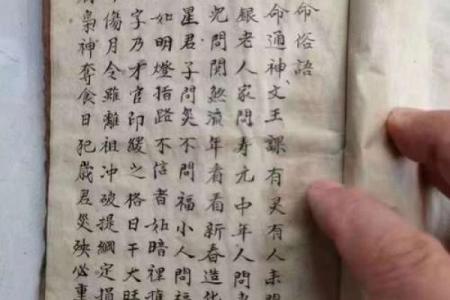 纳音算命的书