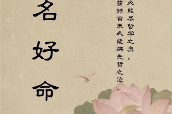 八字命名