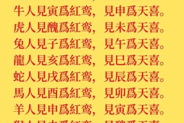 命 运 风水