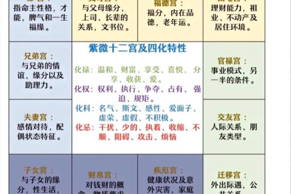 紫薇斗球数排盘