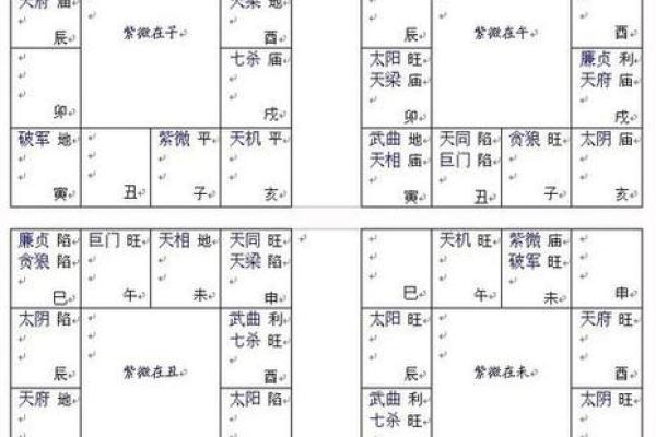 紫薇斗数占卜详解