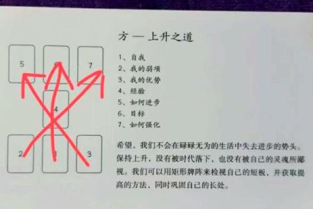 塔罗测试：你在职场上的人缘如何？