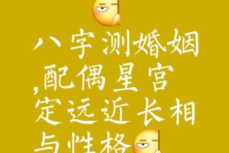 看命运八字