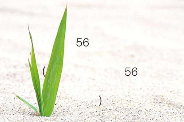 月老灵签姻缘签11