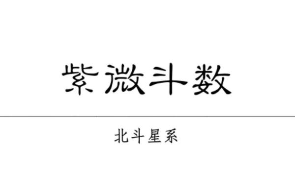 紫薇斗数的巨门