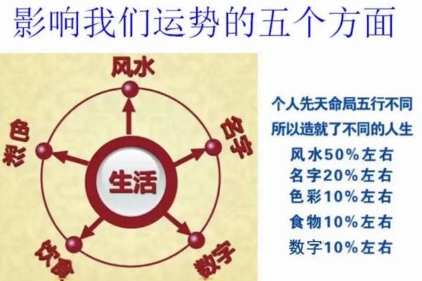叶曼一命二运三风水