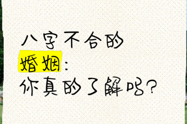 如何对待两人的生日八字合不合