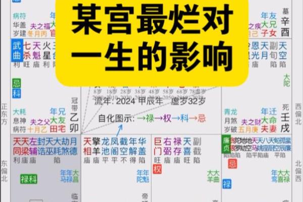 紫薇斗数断盘