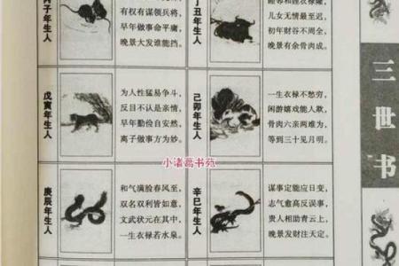 算命看你有几个前世今生