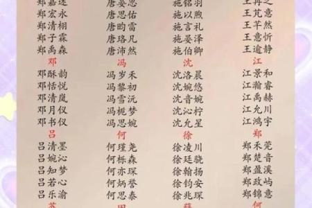 用什么字给晚上11点出生的属猴男孩取名字合适姓名
