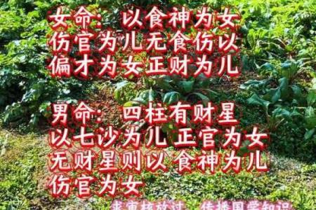 算命绝密公开：生男女