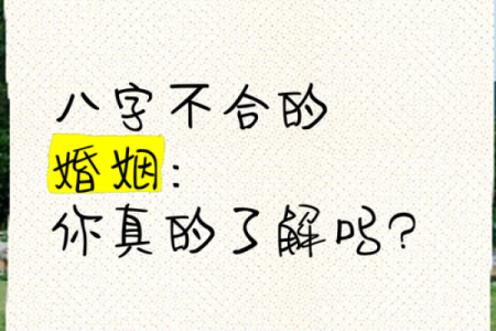 如何对待两人的生日八字合不合
