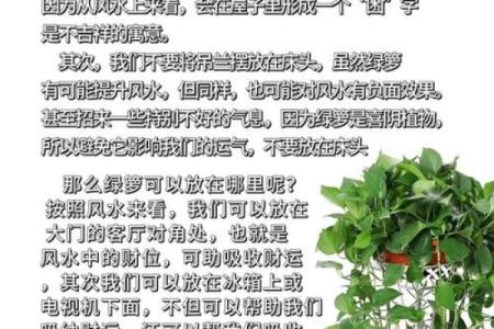大师说的风水常识