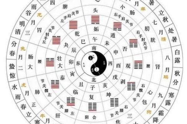八字看排盘