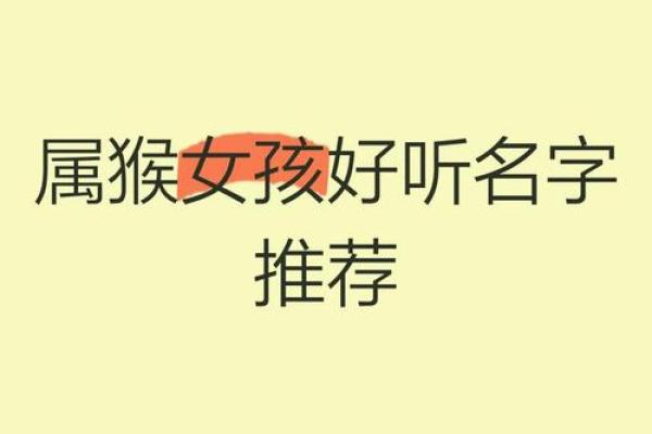 2月份出生的属猴男孩要怎样取名呢？姓名